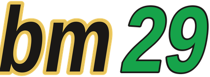 bm29 logo